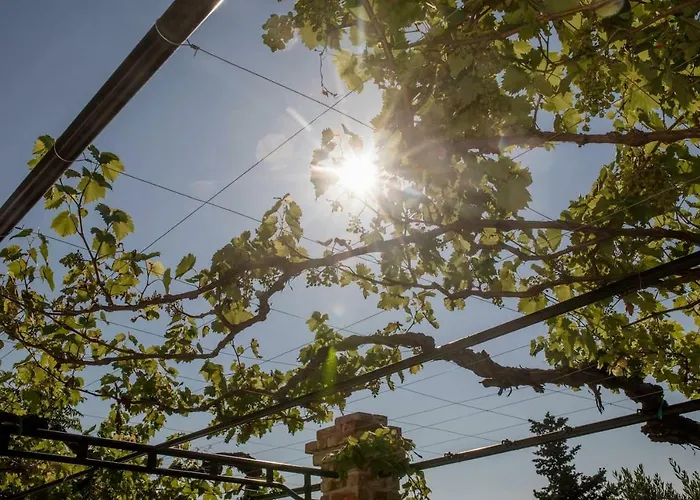 Appartement Larissa *